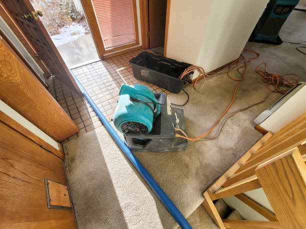 Best Flood restoration services  in Forest, VA