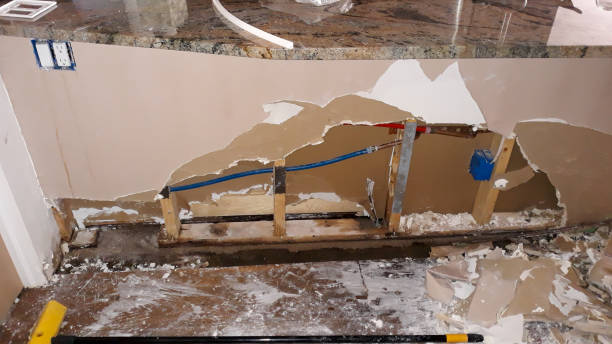 Best Sewage cleanup and water damage restoration  in Forest, VA