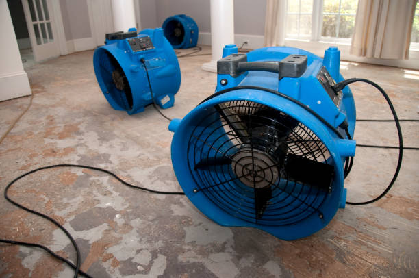Best Water damage restoration near me  in Forest, VA