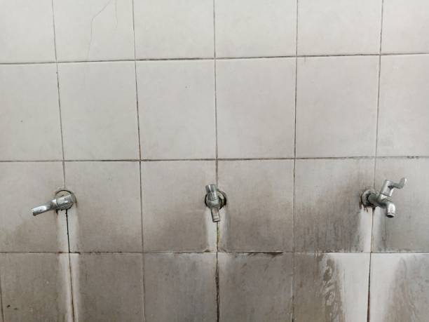 Reliable VA Water damage restoration Solutions
