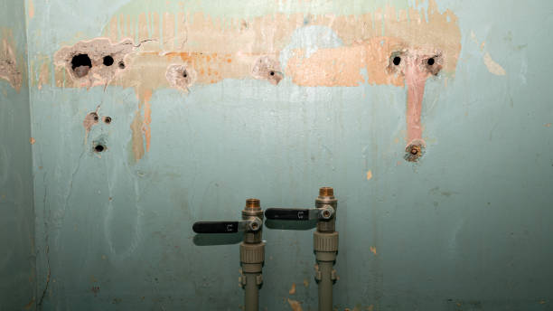 Water damage restoration mold remediation in VA