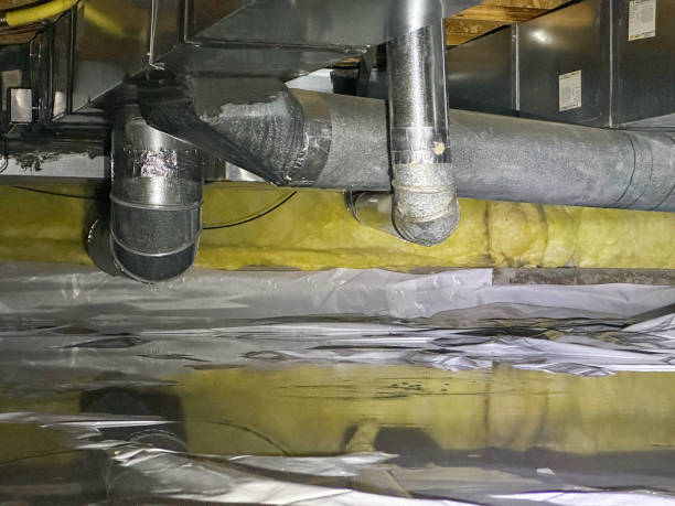 Best Water damage contractors near me  in Forest, VA
