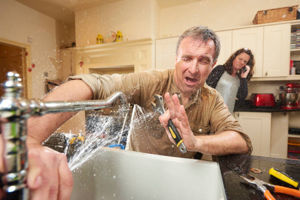 Best Professional water damage repair  in Forest, VA